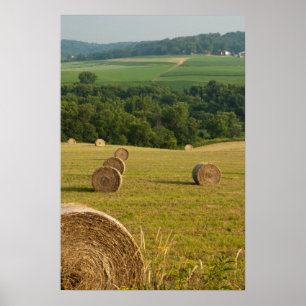 Landtryside Hay Bales Poster