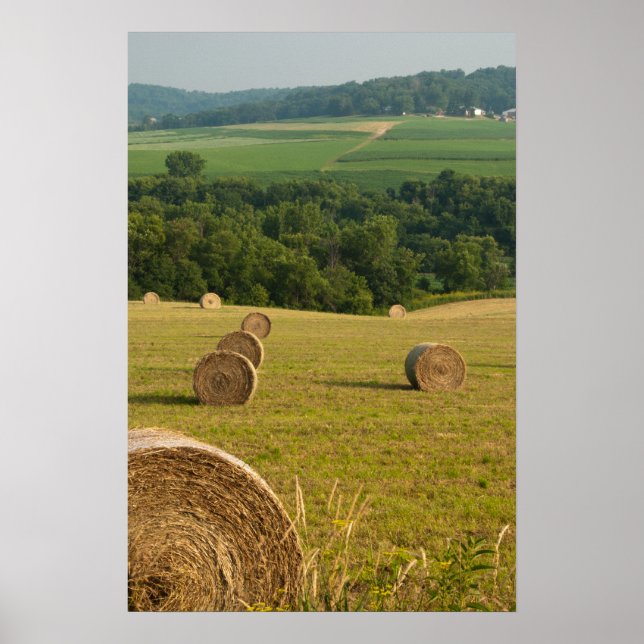 Landtryside Hay Bales Poster (Framsidan)