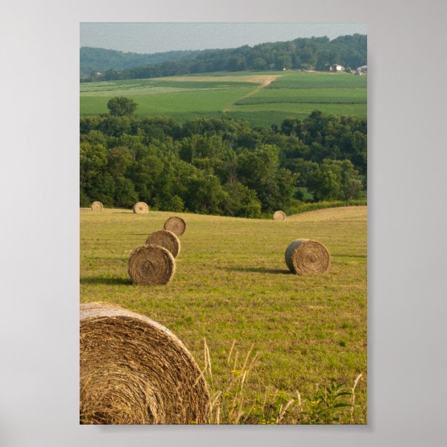 Landtryside Hay Bales Poster (Framsidan)