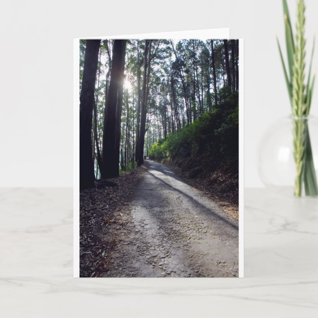 Landväg till och med skog kort (Framsida)