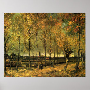 Lane med Poplars av Vincent van Gogh Poster