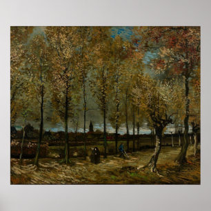 Lane with Poplars nära Nuenen - Van Gogh - c1885 Poster