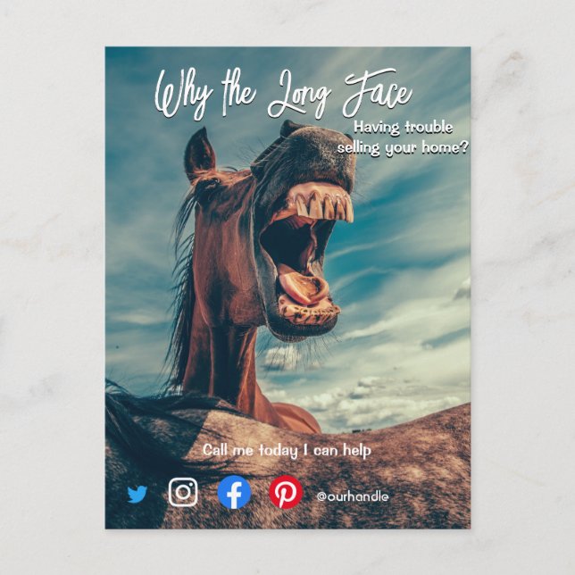 Lång ansikte-häst med stort gods-vykort vykort (Framsida)