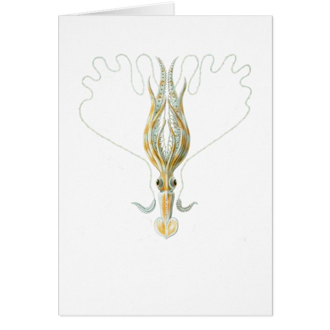 Lång-beväpnad tioarmad bläckfisk hälsningskort (Framsidan)