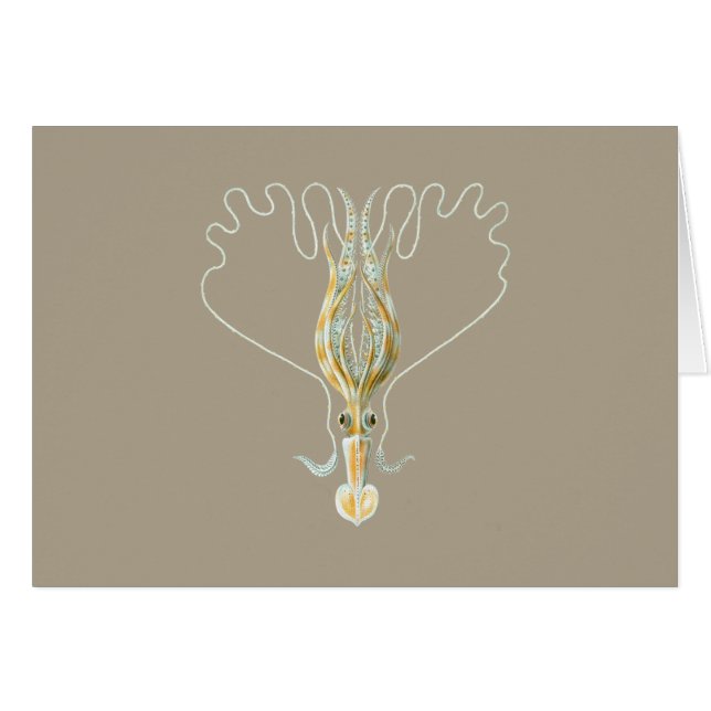 Lång-beväpnad tioarmad bläckfisk hälsningskort (Framsidan Horizontal)