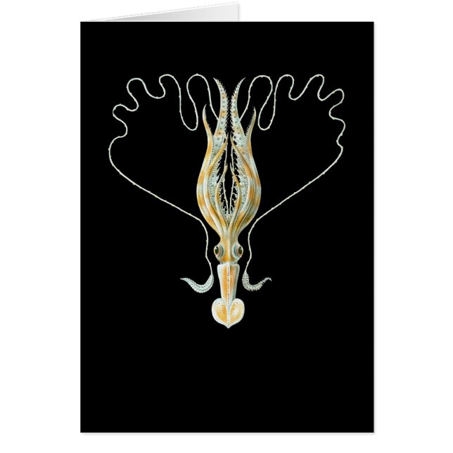 Lång-beväpnad tioarmad bläckfisk hälsningskort (Framsidan)