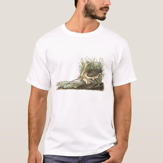 Lång-fakturerad Curlew vid Audubon Tee (Framsida)