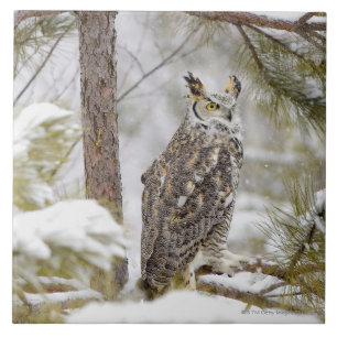 Lång gå i ax uggla kakelplatta