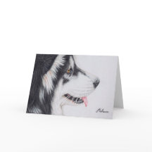 Lång Haired alaskabo Malamute