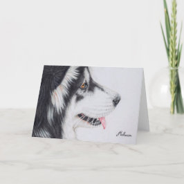 Lång Haired alaskabo Malamute Kort