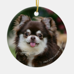 Lång Haired ChihuahuaHeadshot 1 Julgransprydnad Keramik