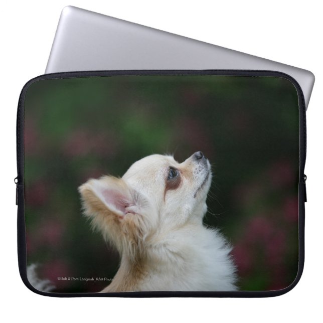 Lång Haired ChihuahuaHeadshot 2 Laptop Sleeve (Framsidan)