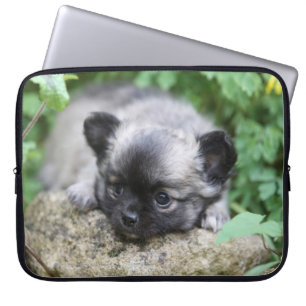 Lång Haired Chihuahuavalp Laptop Sleeve