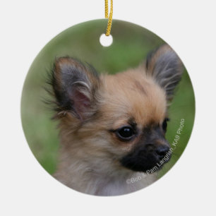 Lång Haired tittar kamera för Chihuahua valp Julgransprydnad Keramik
