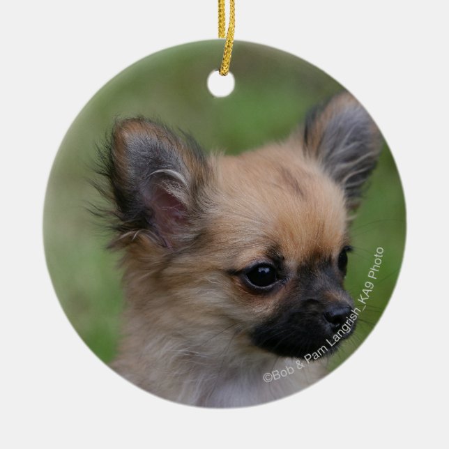 Lång Haired tittar kamera för Chihuahua valp Julgransprydnad Keramik (Framsidan)