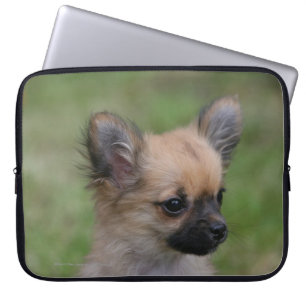 Lång Haired tittar kamera för Chihuahua valp Laptop Sleeve