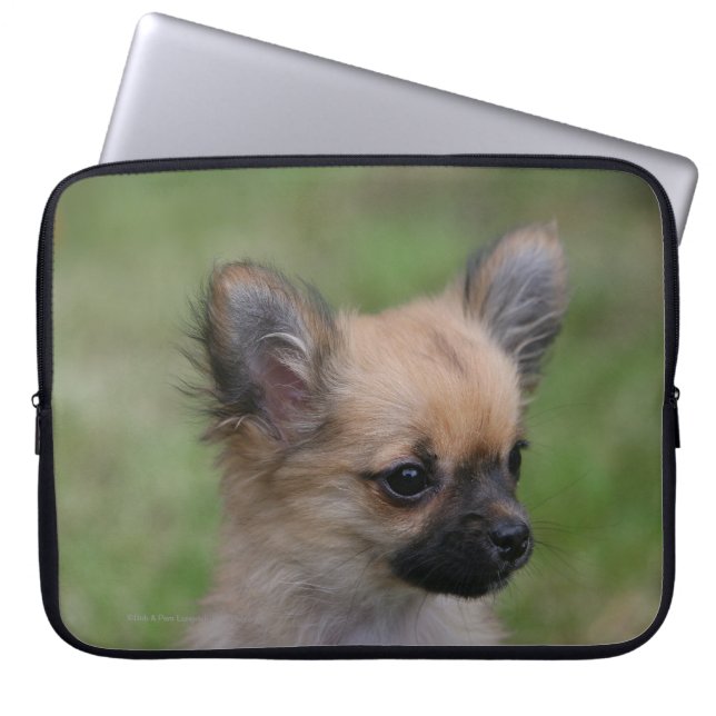 Lång Haired tittar kamera för Chihuahua valp Laptop Sleeve (Framsidan)