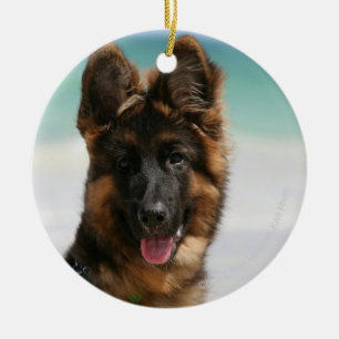 Lång Haired tysk herdestrand Julgransprydnad Keramik