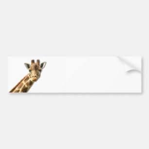 Lång hånglad giraffbildekal bildekal