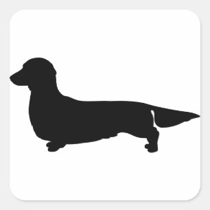 Lång hårbotten Dachshund Square-fästare Fyrkantigt Klistermärke