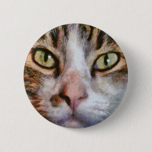 Lång högparad Tabby katt Stäng upp Porträtt Knapp