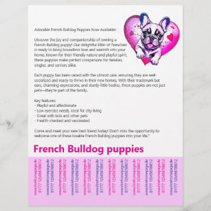 Lång läsning Fransk Bulldog Valp Flyer