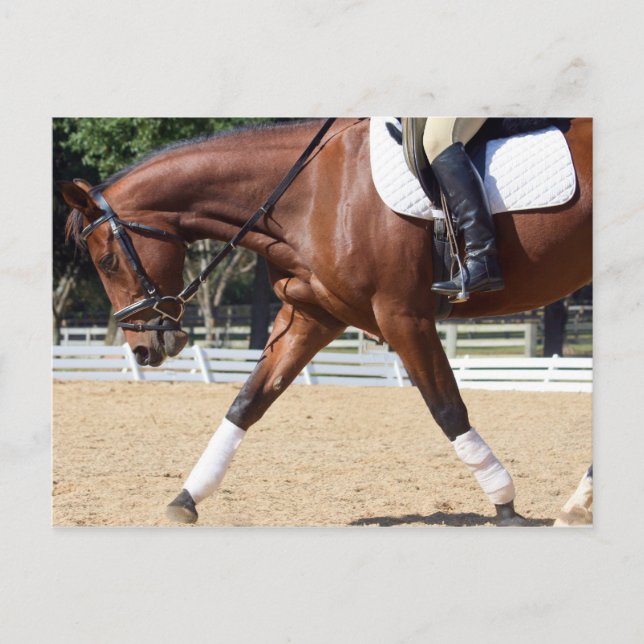 Lång och låg vykort (Framsida)