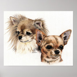 Lång och slät jacka Chihuahuas Poster