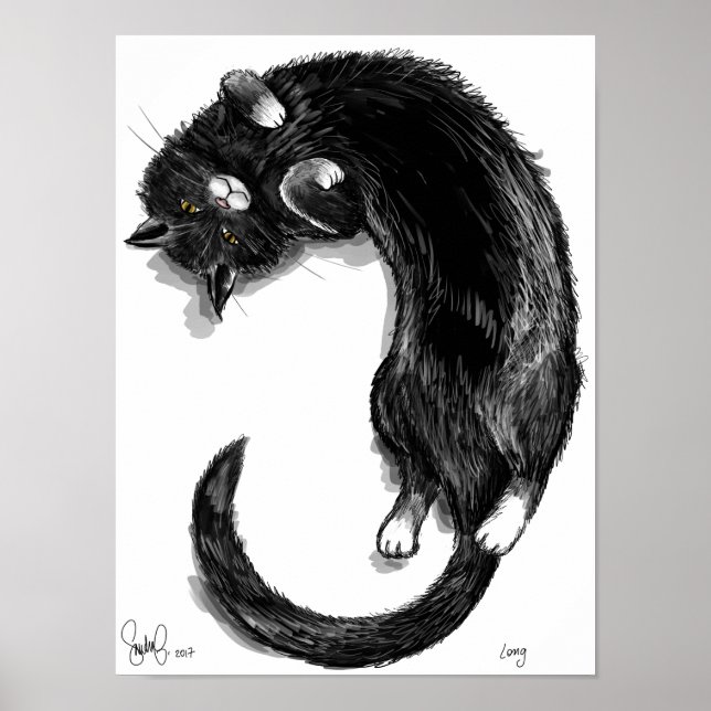 Lång Poster (Framsidan)