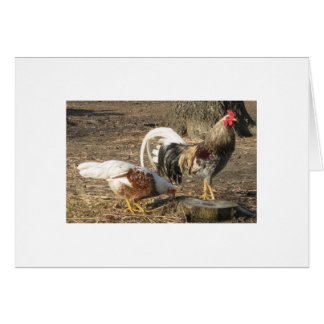 Lång-Svan för Alabama blåttspillror Gamecock Hälsningskort