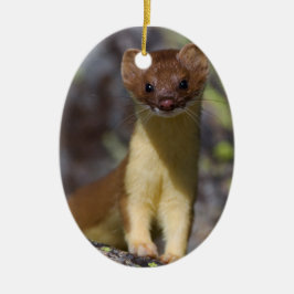 Lång-tailed vessla julgransprydnad keramik