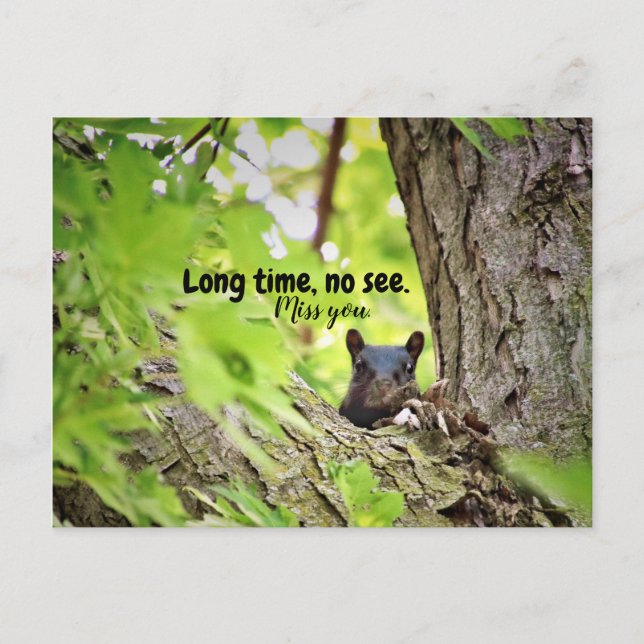 Lång tid, ingen Se vykort (Framsida)