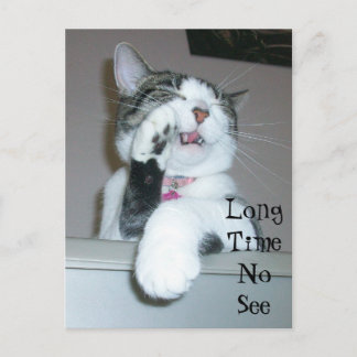 Lång tid, ingen sikt vykort