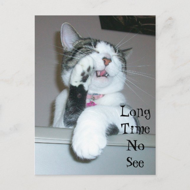 Lång tid, ingen sikt vykort (Framsida)