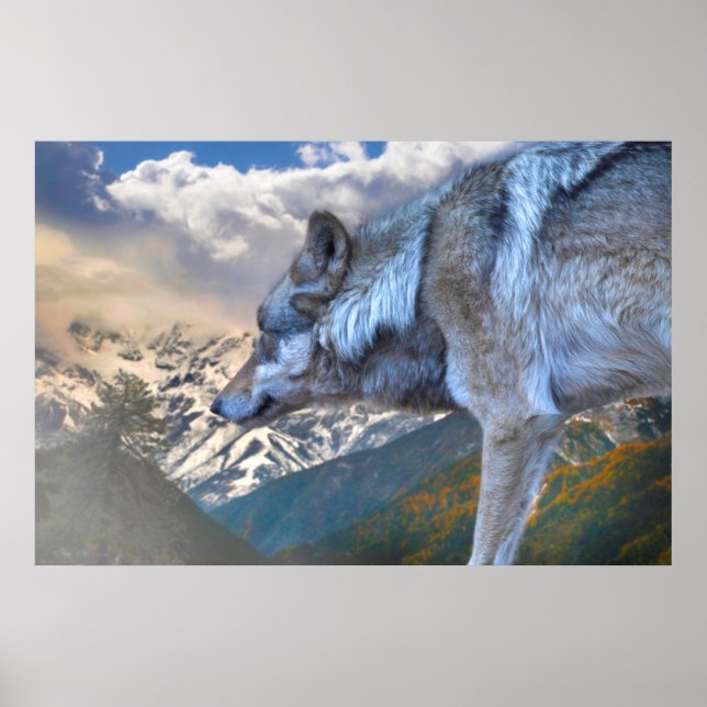 LÅNG VARG ÖVER FRIHETEN POSTER (Framsidan)