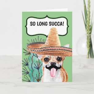 Långa cactus så länge succa Mexican chihuahua hund Kort