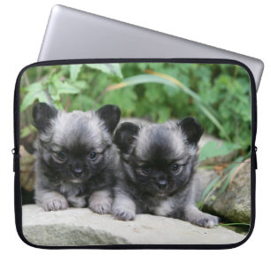 Långa Haired Chihuahuavalpar Laptop Fodral