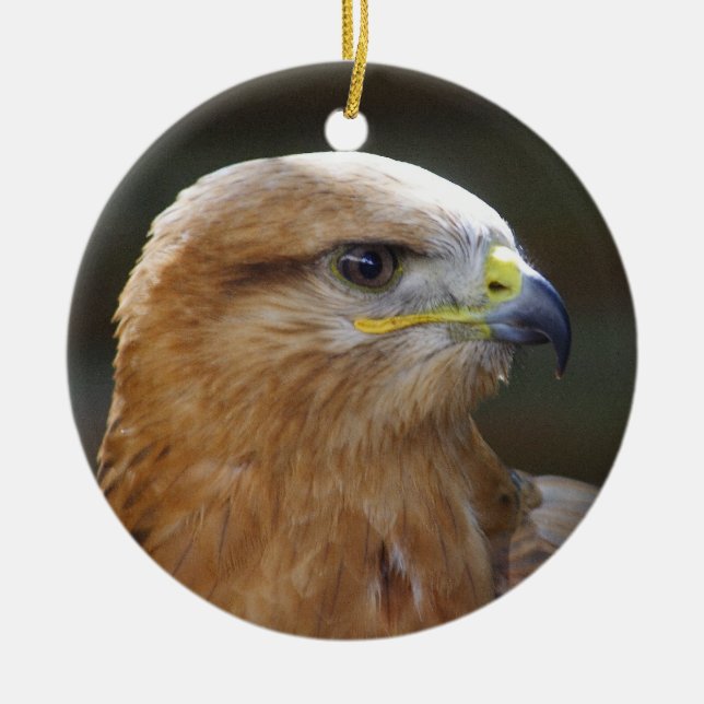 Långbent Buzzard Julgransprydnad Keramik (Framsidan)