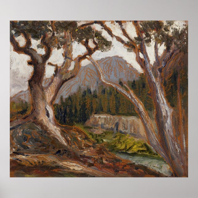 Långdifrån Loch Vale, Estes Park, Colorado Poster (Framsidan)
