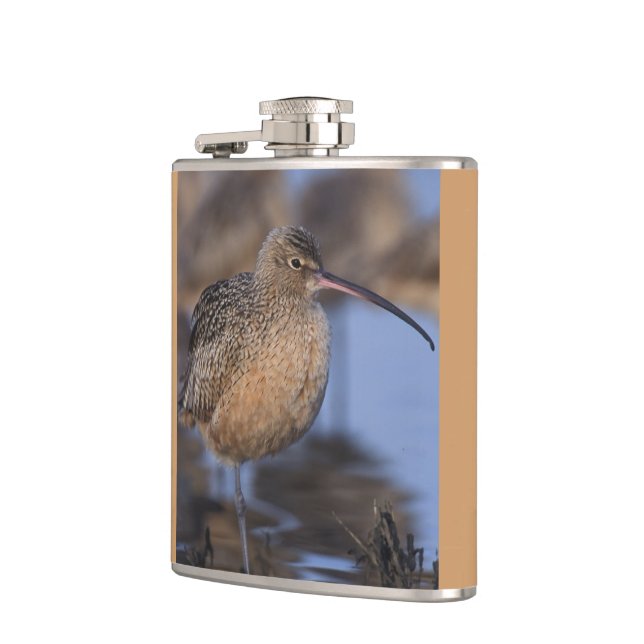 Långfakturerad Curlew Fickplunta (Vänster)