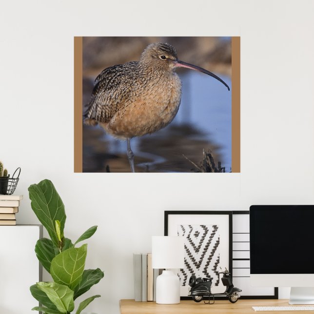 Långfakturerad Curlew Poster (Hemmakontoret)