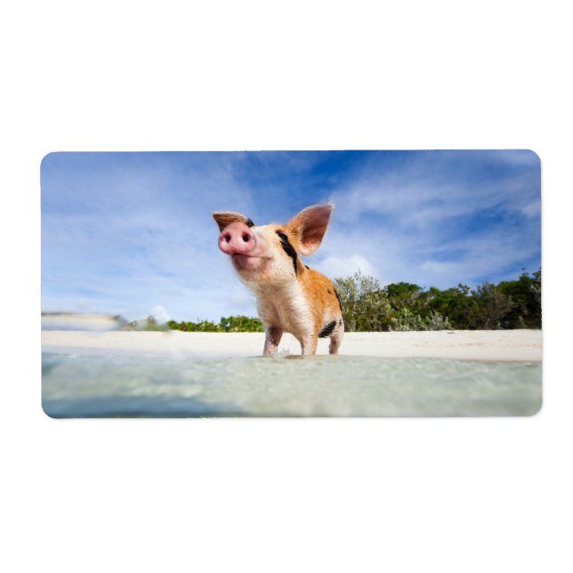 Långgris Fraktsedel (Framsidan)