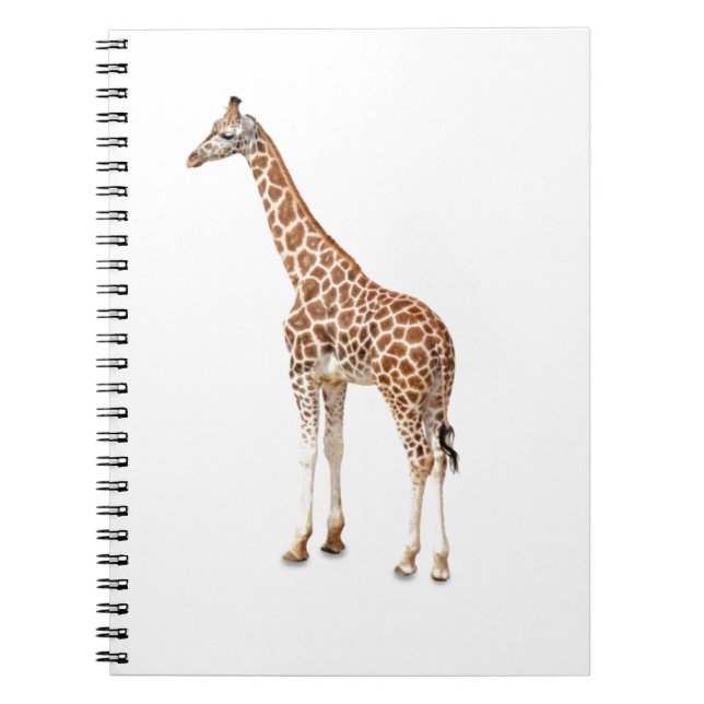 Långhalsad giraff anteckningsbok (Framsidan)