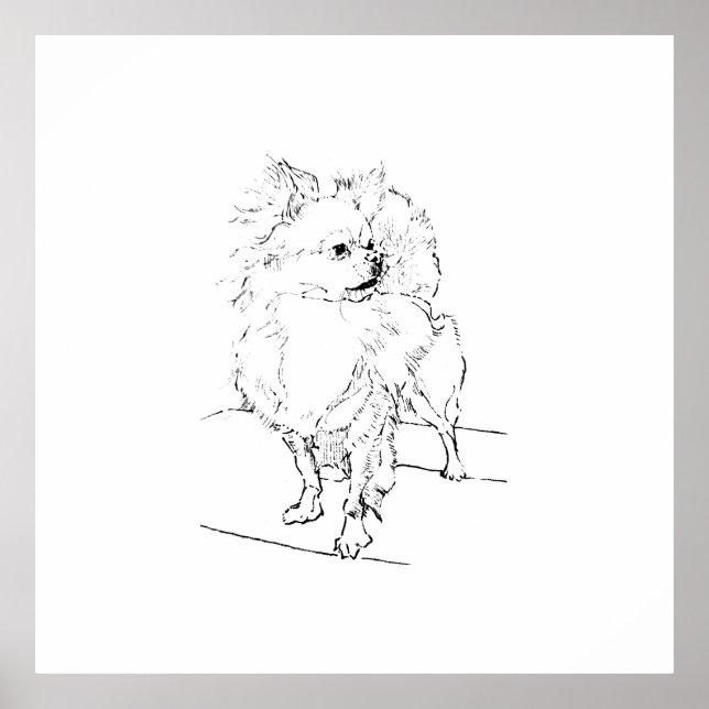 Långhårig Chihuahua – Hundillustration Dekor (Framsidan)