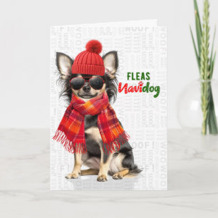 Långhårig Chihuahua Roliga Lopp Navidog Helgkort