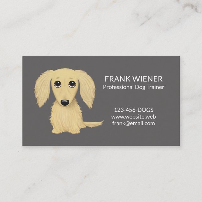 Långhårig Cream Blonde Dachshund | Wiener Hund Visitkort (Framsida)