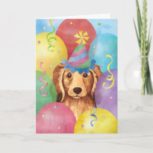 Långhårig Dachshund Kort