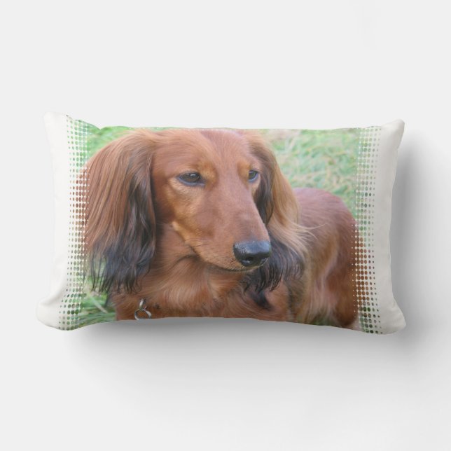 Långhårig Dachshund-kudde Lumbarkudde (Framsida)