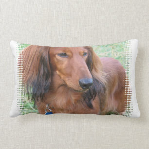 Långhårig Dachshund-kudde Lumbarkudde