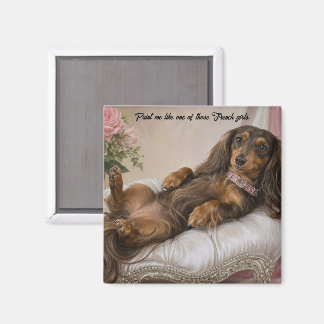 Långhårig Dachshund Magnet